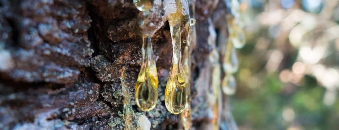 وادي البكاء إشارة إلى مكة؟