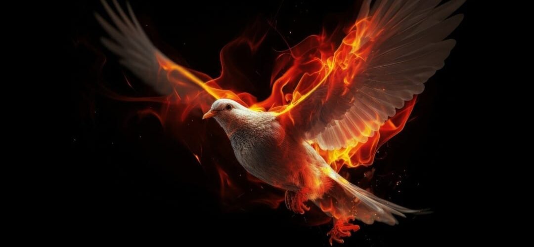 هل روح القدس روح الحق هو رسول الإسلام محمد في يوحنا ١٦: ١٣؟