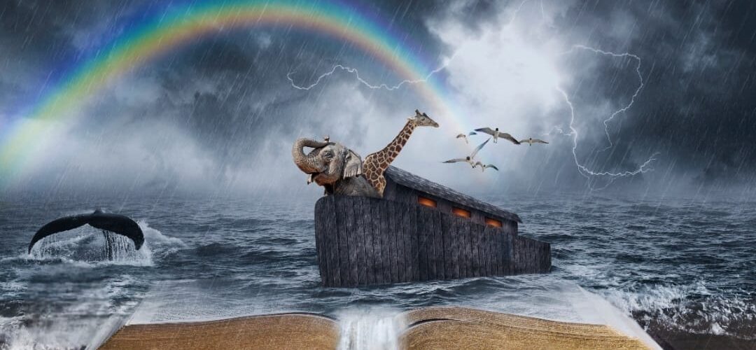 هل يوجد تناقض بين “١٢٠ سنة” في تكوين ٦: ٣ وبين زمن الطوفان وعمر نوح (٥٠٠–٦٠٠ سنة)؟